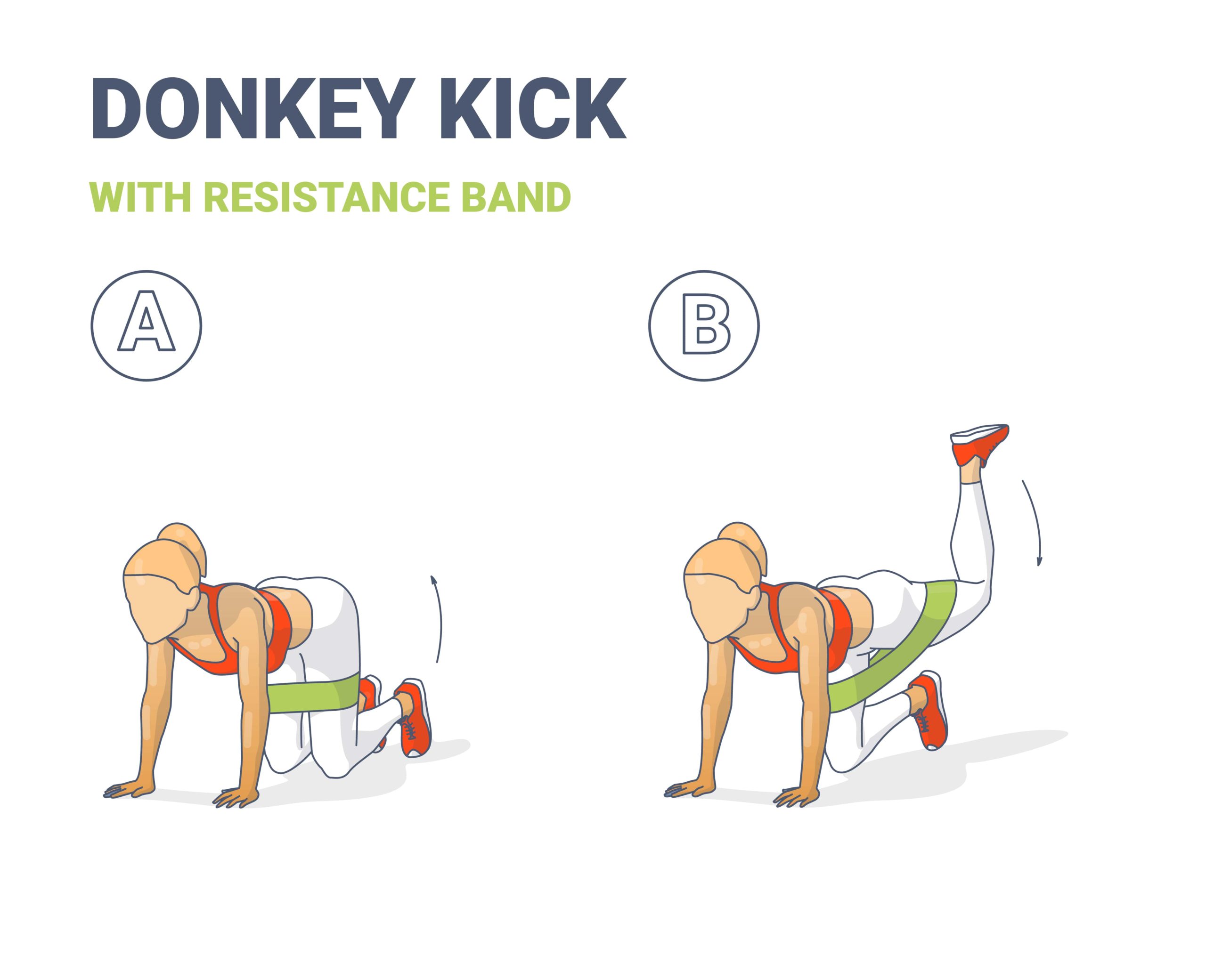 Exercice n°5 : Les donkey kicks