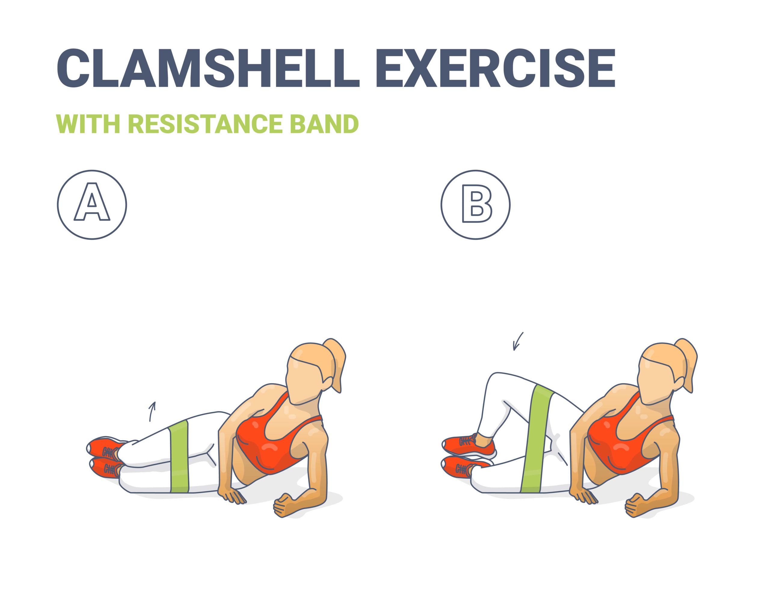 Exercice n° 2 : Clamshell