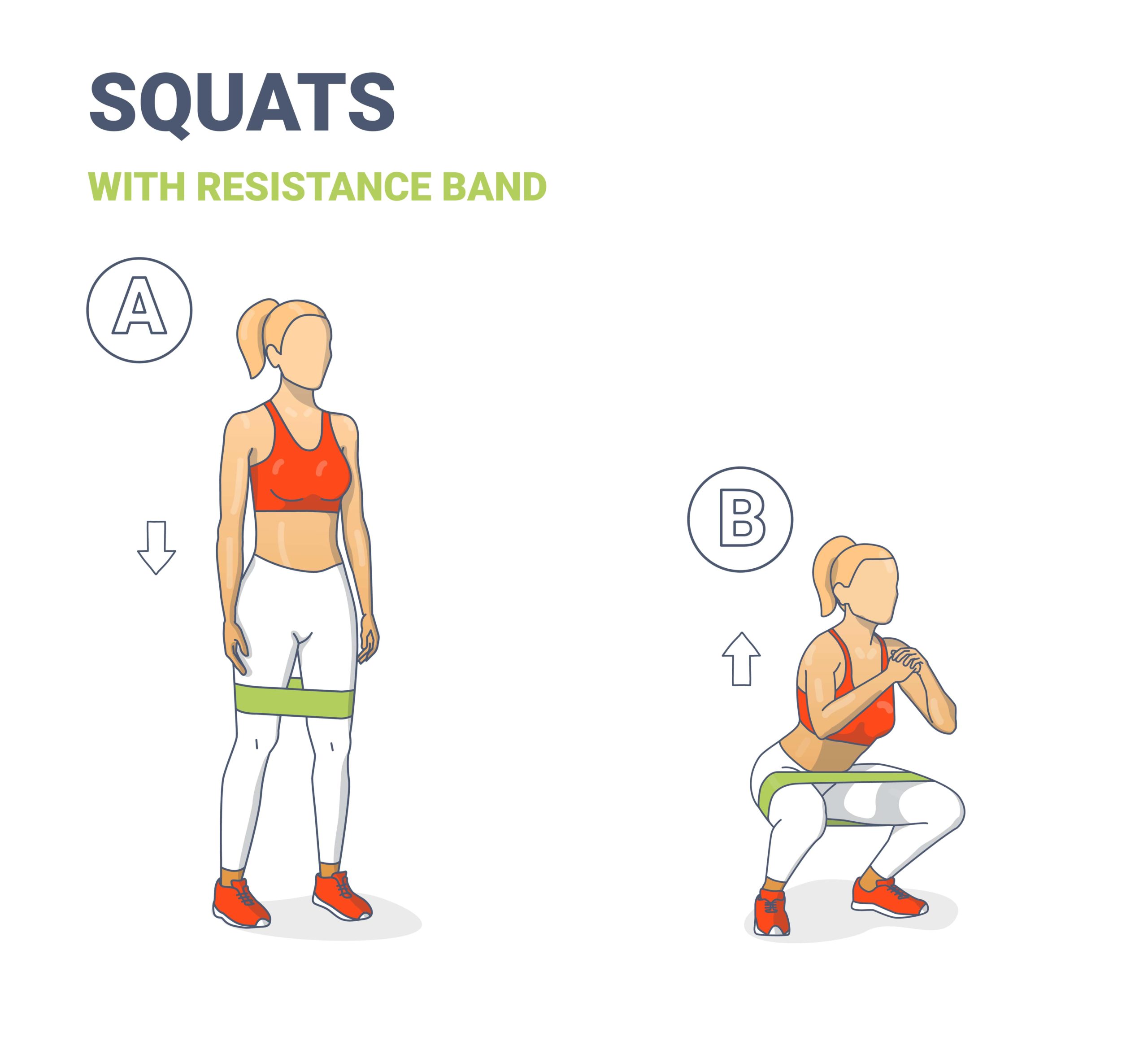 Exercice n°1 : Les squats